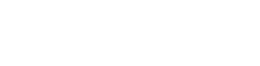 Verhelst Group Machines Logo