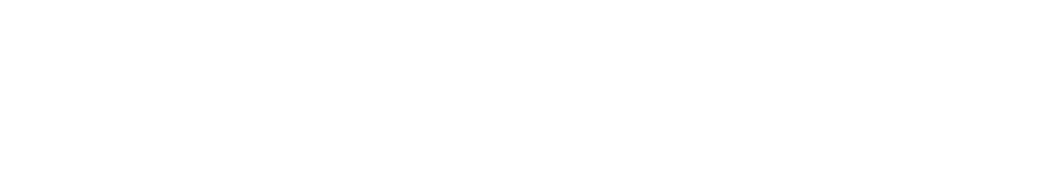 Verhelst Group Balegro Logo